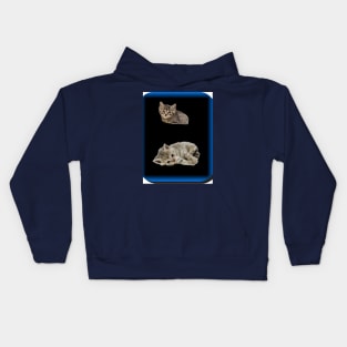 kittens Kids Hoodie